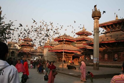 Naturally Nepal - 8 Day Tour