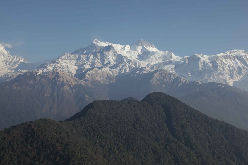 Picture 7 for Activity Naturally Nepal - 8 Day Tour