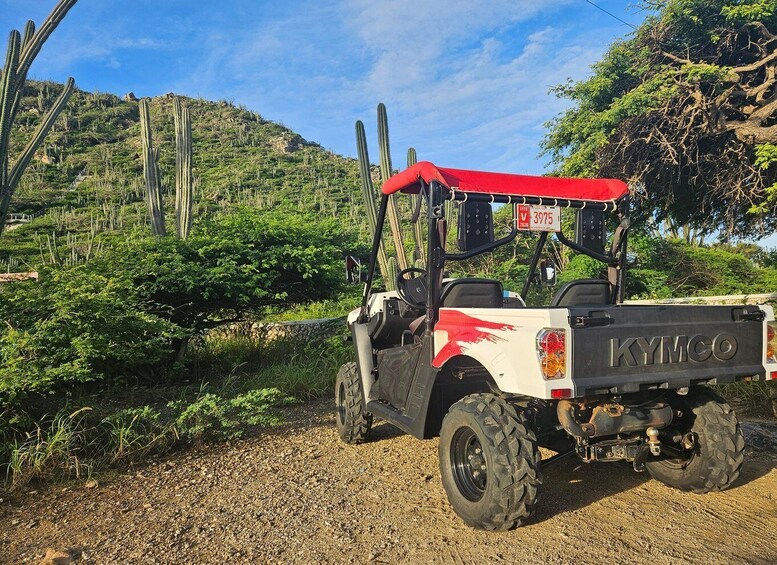 Picture 5 for Activity Morning UTV Island tour in Aruba.