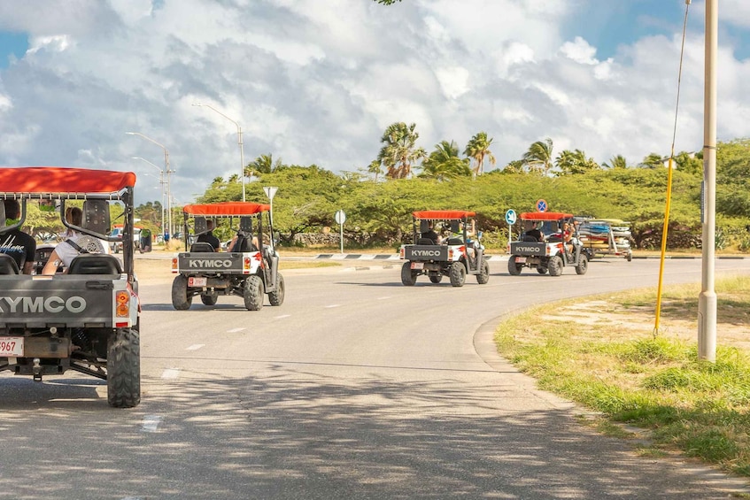 Picture 7 for Activity Morning UTV Island tour in Aruba.