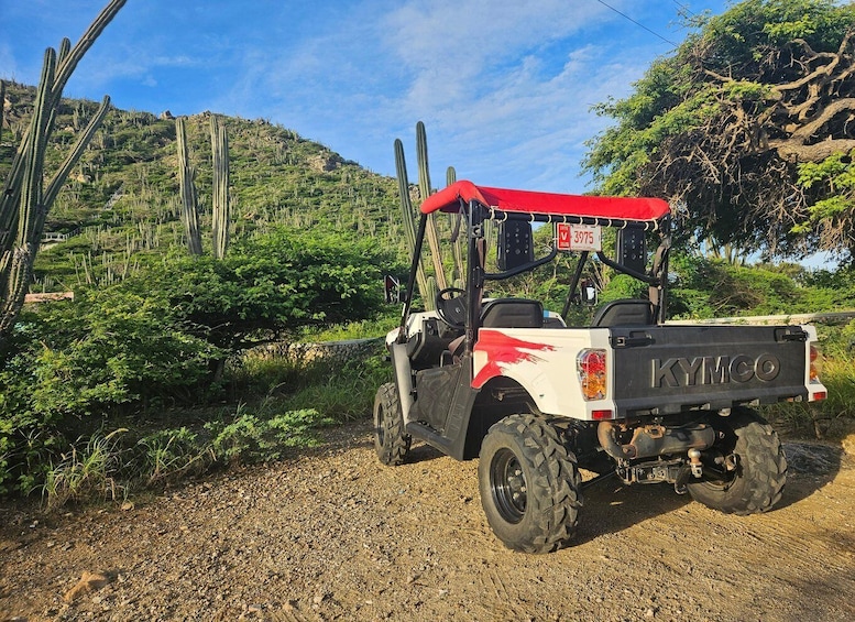 Picture 5 for Activity Morning UTV Island tour in Aruba.