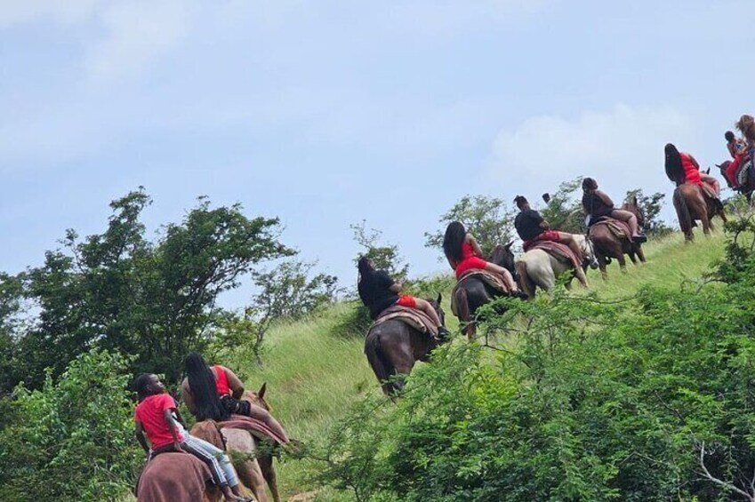 Horseback Riding at Sandy Beach in Antigua