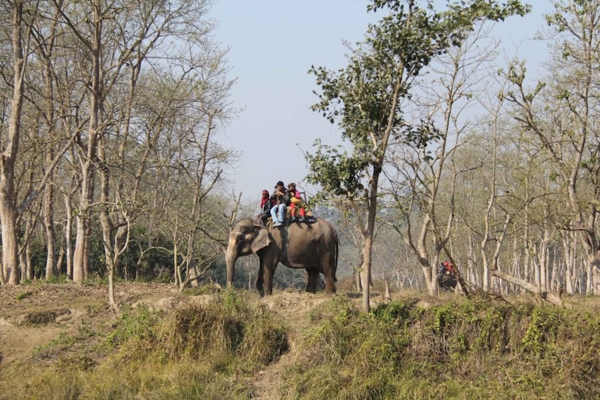 Picture 3 for Activity Nepal Holiday Honeymoon Tour Package with Activities