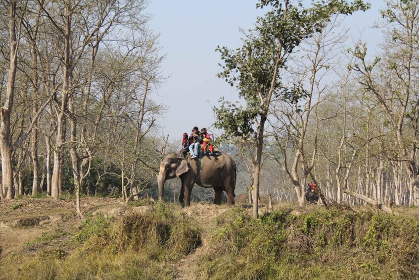 Picture 3 for Activity Nepal Holiday Honeymoon Tour Package with Activities