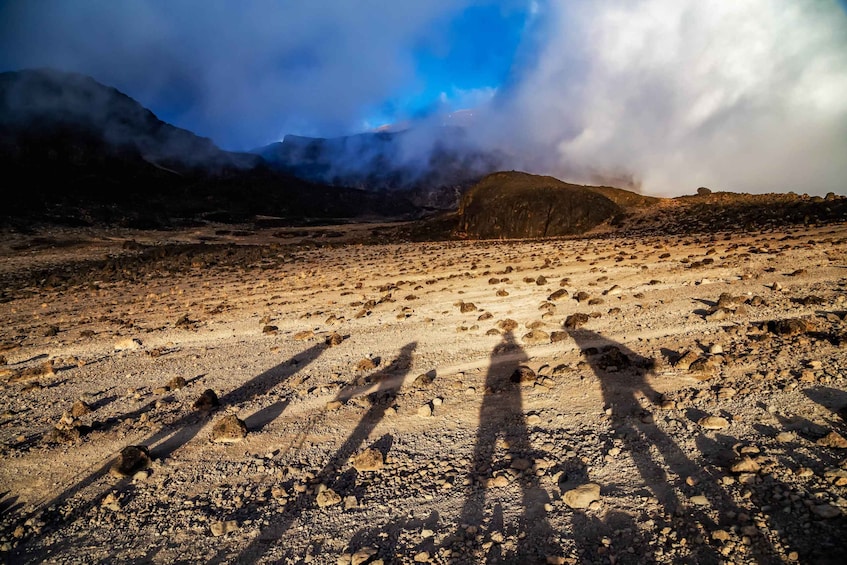 Picture 2 for Activity Mount Kilimanjaro: 9-day Lemosho Route Adventure