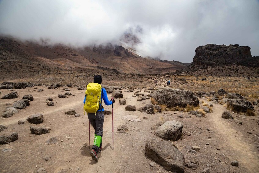 Picture 1 for Activity Mount Kilimanjaro: 9-day Lemosho Route Adventure