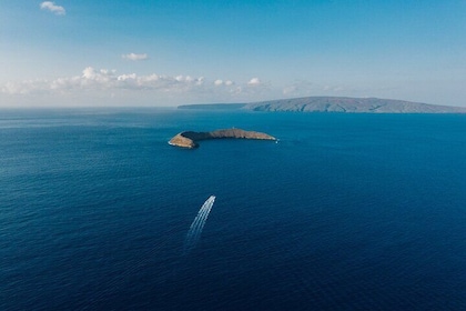 2 Hour Private Snorkelling Experience to Molokini from Kihei