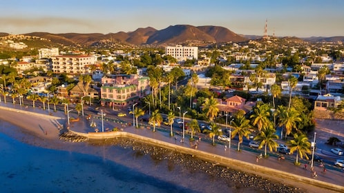 Excursión de un día a La Paz y Todos Santos con almuerzo