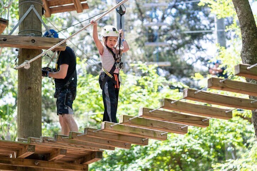 3-Hour Ropes Course & Zip Line Adventure 