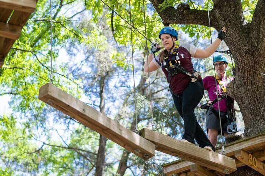 3-Hour Ropes Course & Zip Line Adventure 