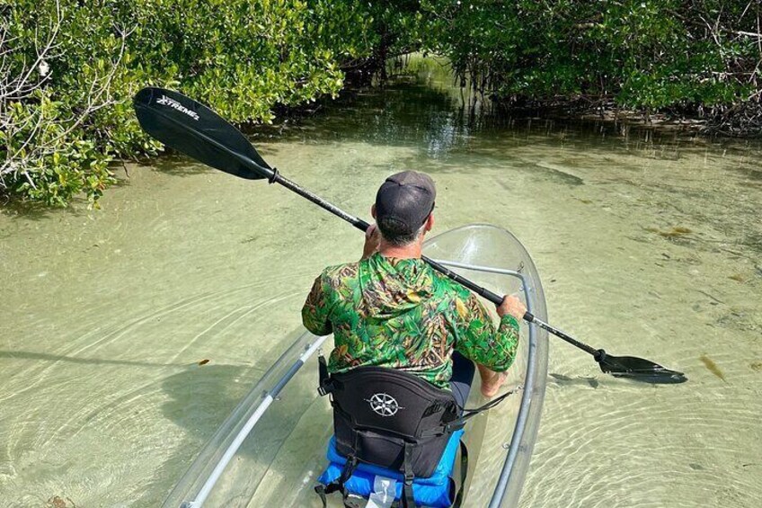 Sarasota Clear Kayak Tour