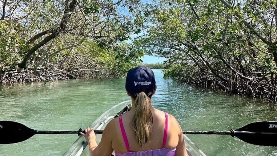 Sarasota Clear Kayak Tour
