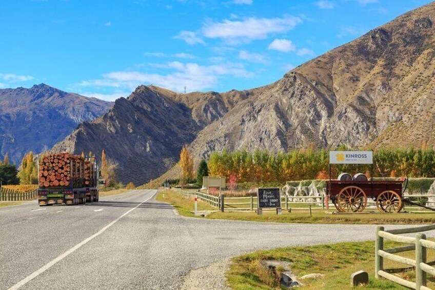 Wines and Views Private Wine Tour of Otago from Queenstown