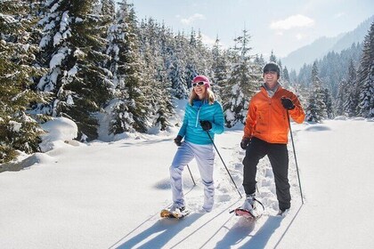 Snowshoeing and Cidery Tasting Adventure