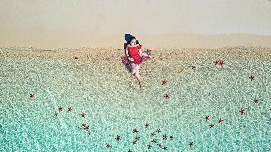Starfish beach