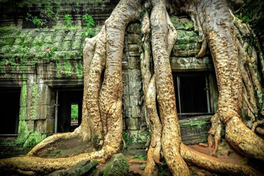 Angkor Wat 2 Days and a Half Temples & Tonle Sap-Small Group Tour