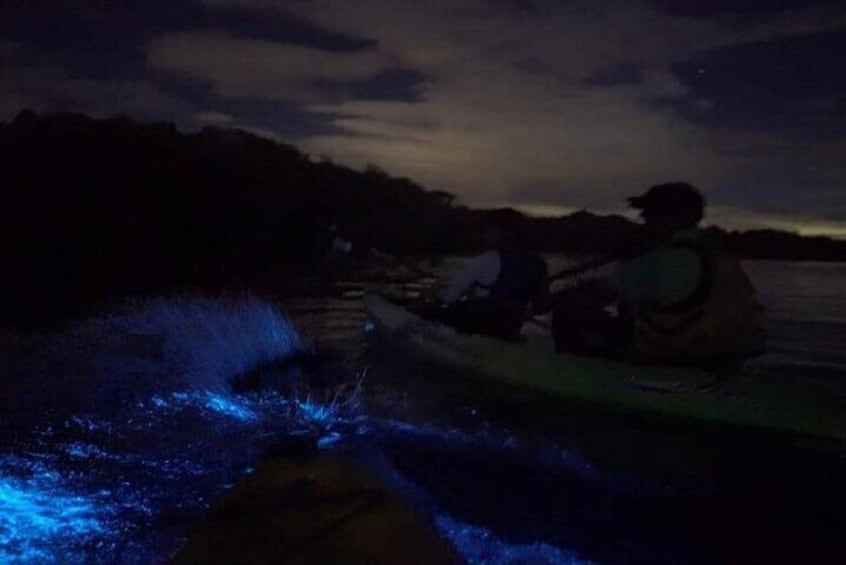 Eddy's Bioluminescence Reserve in Punta Cuchillos