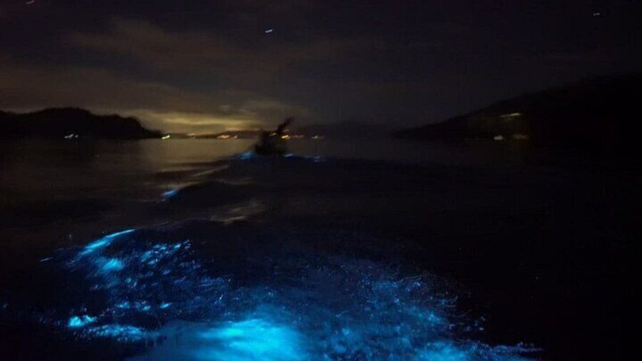 Eddy's Bioluminescence Reserve in Punta Cuchillos
