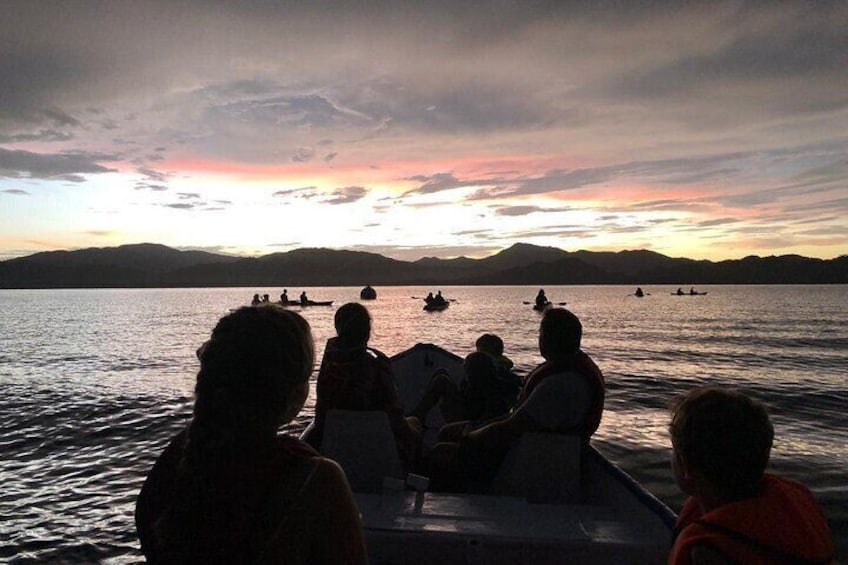 Eddy's Bioluminescence Reserve in Punta Cuchillos