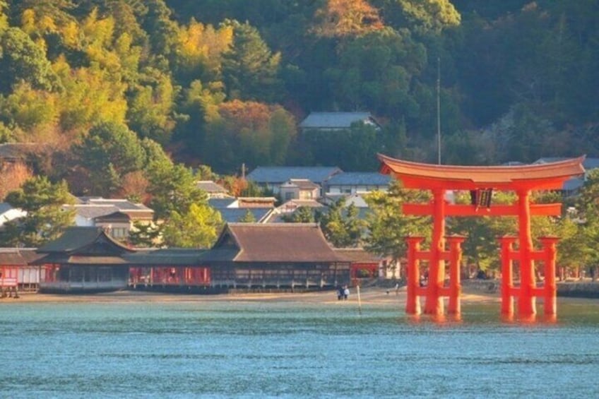 Self Guided Tour in Miyajima with Bullet Train and Ferry Ticket