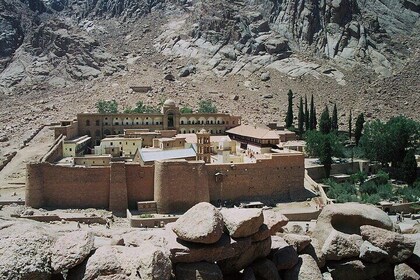 Excursión guiada de un día al Monte Sinaí desde Sharm