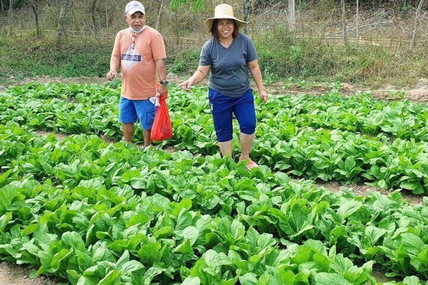 Coron Farm Private Escape Sustainable Farming and Lunch