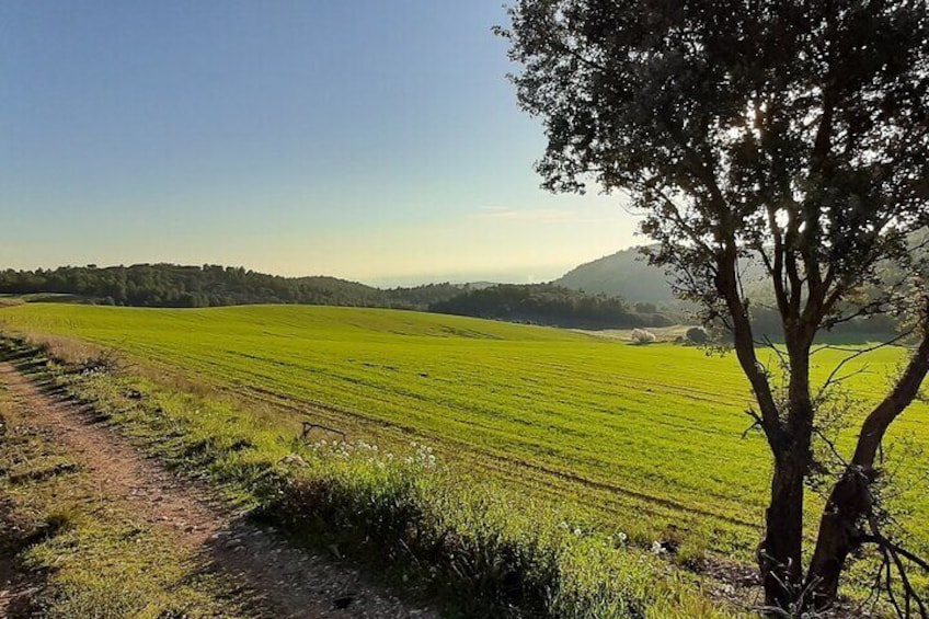Private Half-Day Tour in Lleida