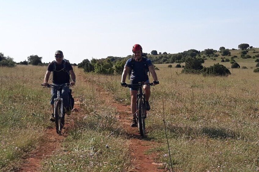 Private Half-Day Tour in Lleida