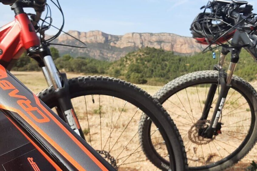 Private Half-Day Tour in Lleida