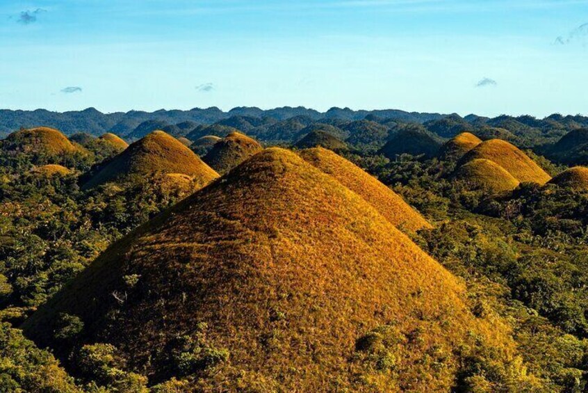 Private Tour Bohol Chocolate Hills Loboc River Cruise 