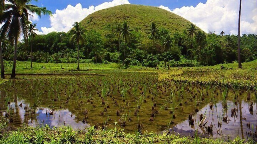 Private Tour Bohol Chocolate Hills Loboc River Cruise
