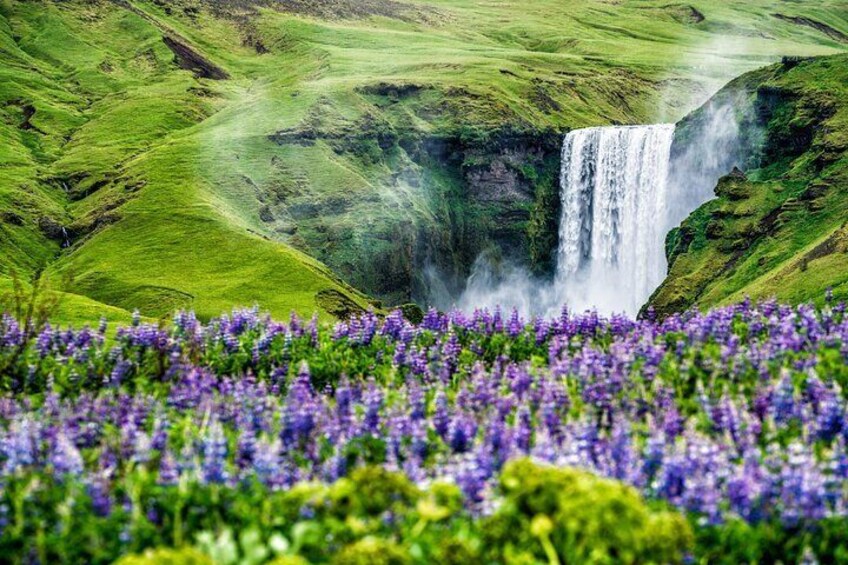 Skógafoss Waterfall