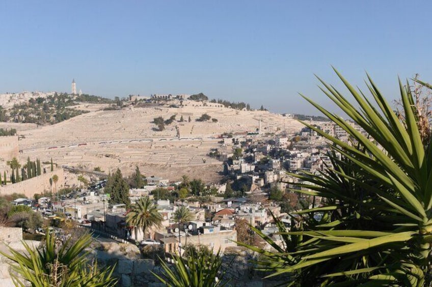 Full Day Private Tour to Hebron from Jerusalem