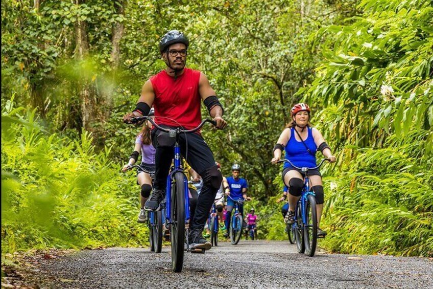 Exotic Full-Day Blue Mountain Bicycle Adventure