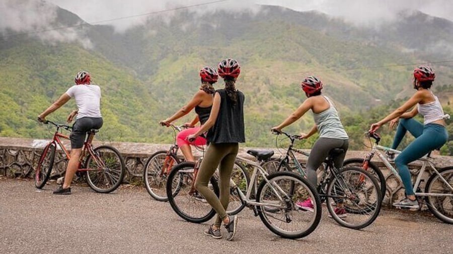 Exotic Full-Day Blue Mountain Bicycle Adventure