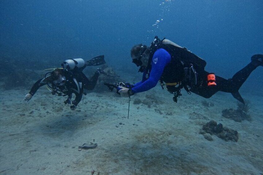 Scuba Divers, Photography (Antigua)