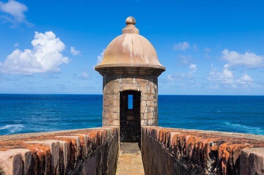 Private Tour in Puerto Rico