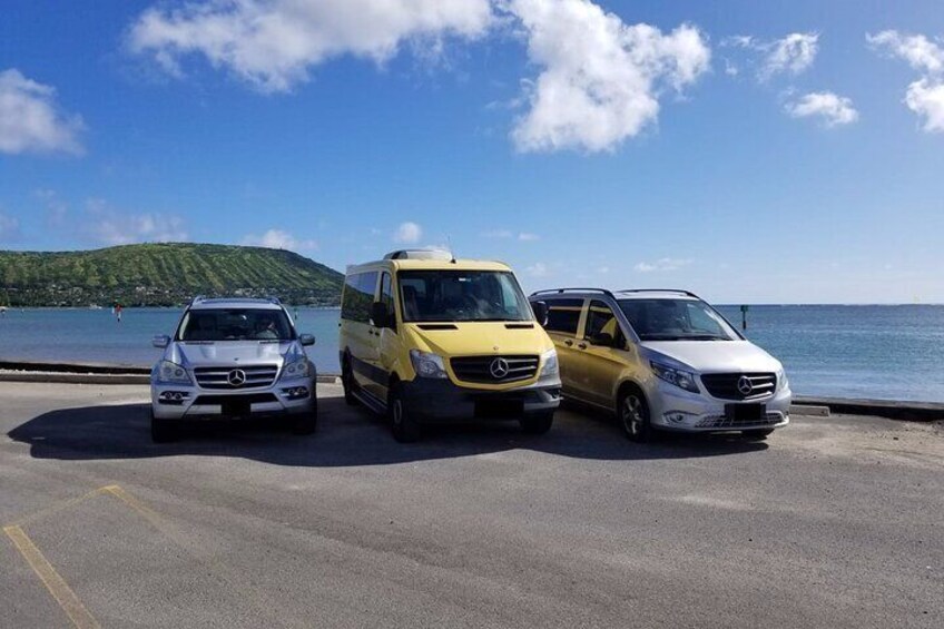 Private Tour in Puerto Rico