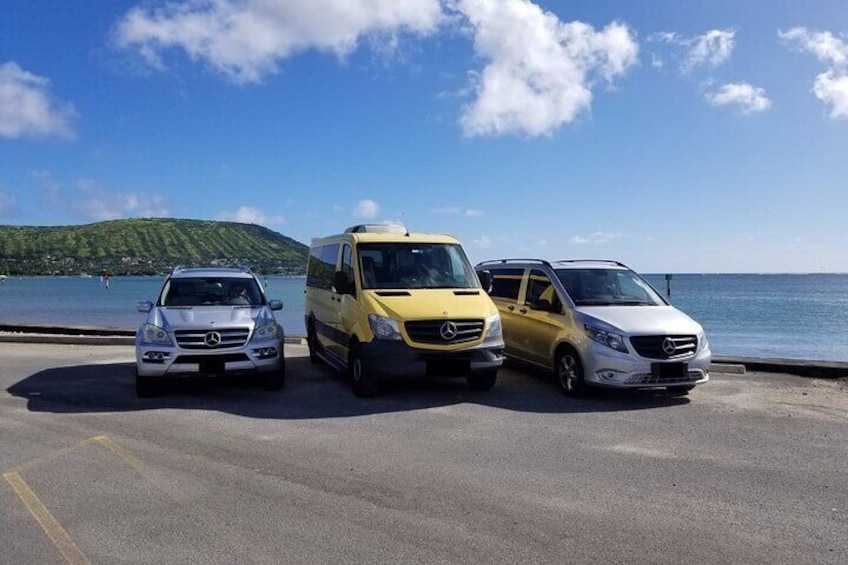Private Tour in Puerto Rico