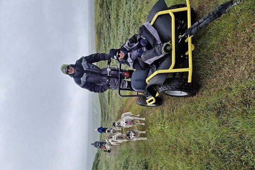 Dog Sledding and Mushing Experience by Siberian Husky in Iceland