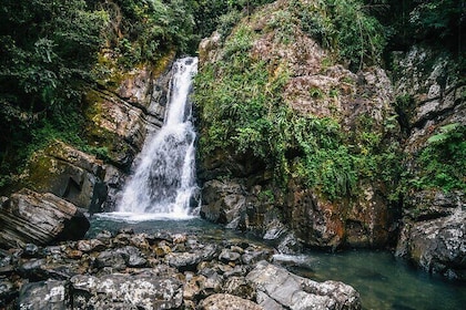 Private Tour to Waterfall in Puerto Rico