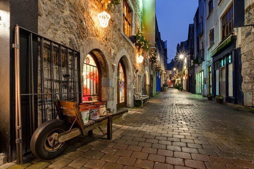 Galway’s Timeless Treasures: A Family Adventure