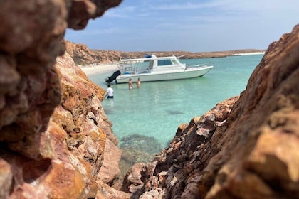 Snorkelling trips to Daymaniat Island