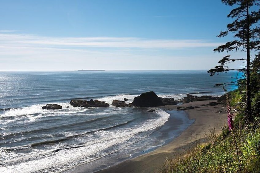 Beaches and tide-pools