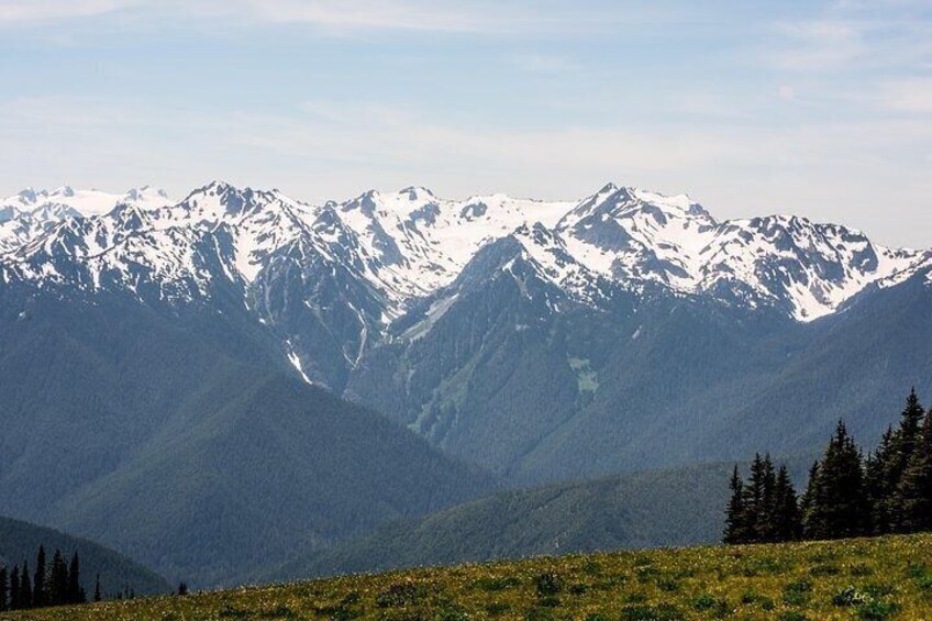 Hurricane Ridge