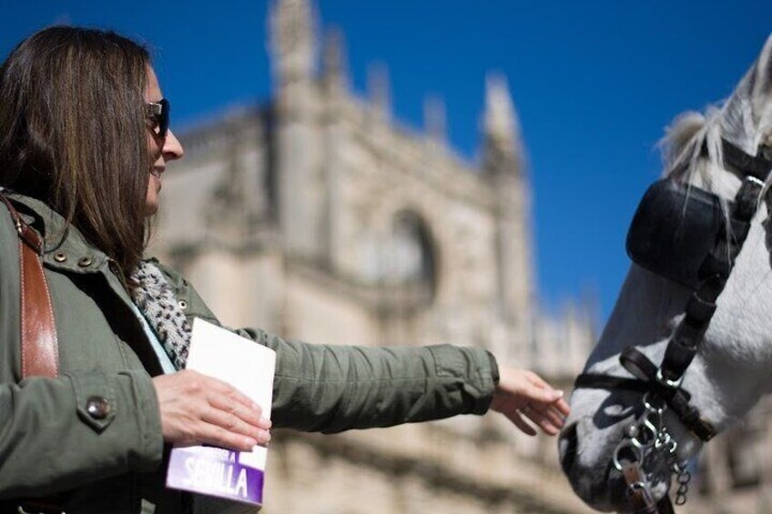 Private Guided Walking Tour of Charming Córdoba