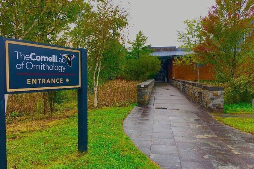 2 hours Family walking tour in Ithaca