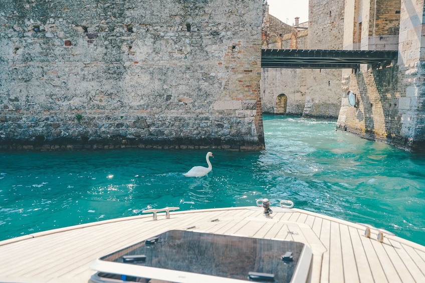 Sirmione Highlights Walking Tour and Boat Tour