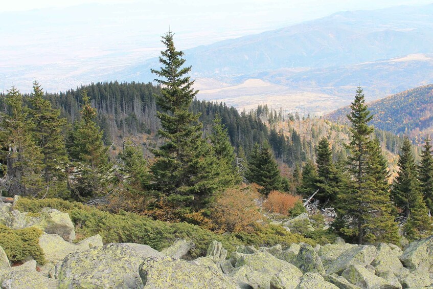 Picture 3 for Activity Private Heritage and Hiking Tour in the Vitosha Mountain