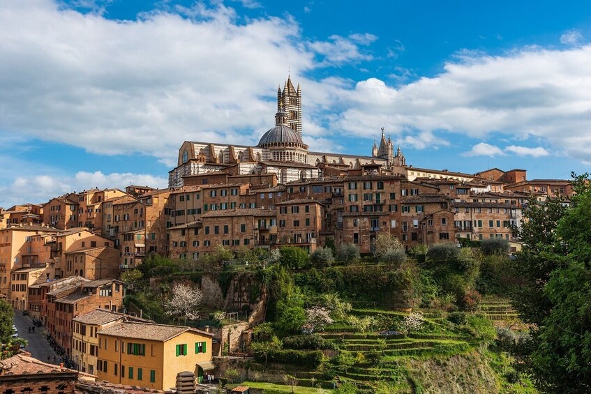 Private Minivan Excursion to Siena, San Gimignano and Pisa